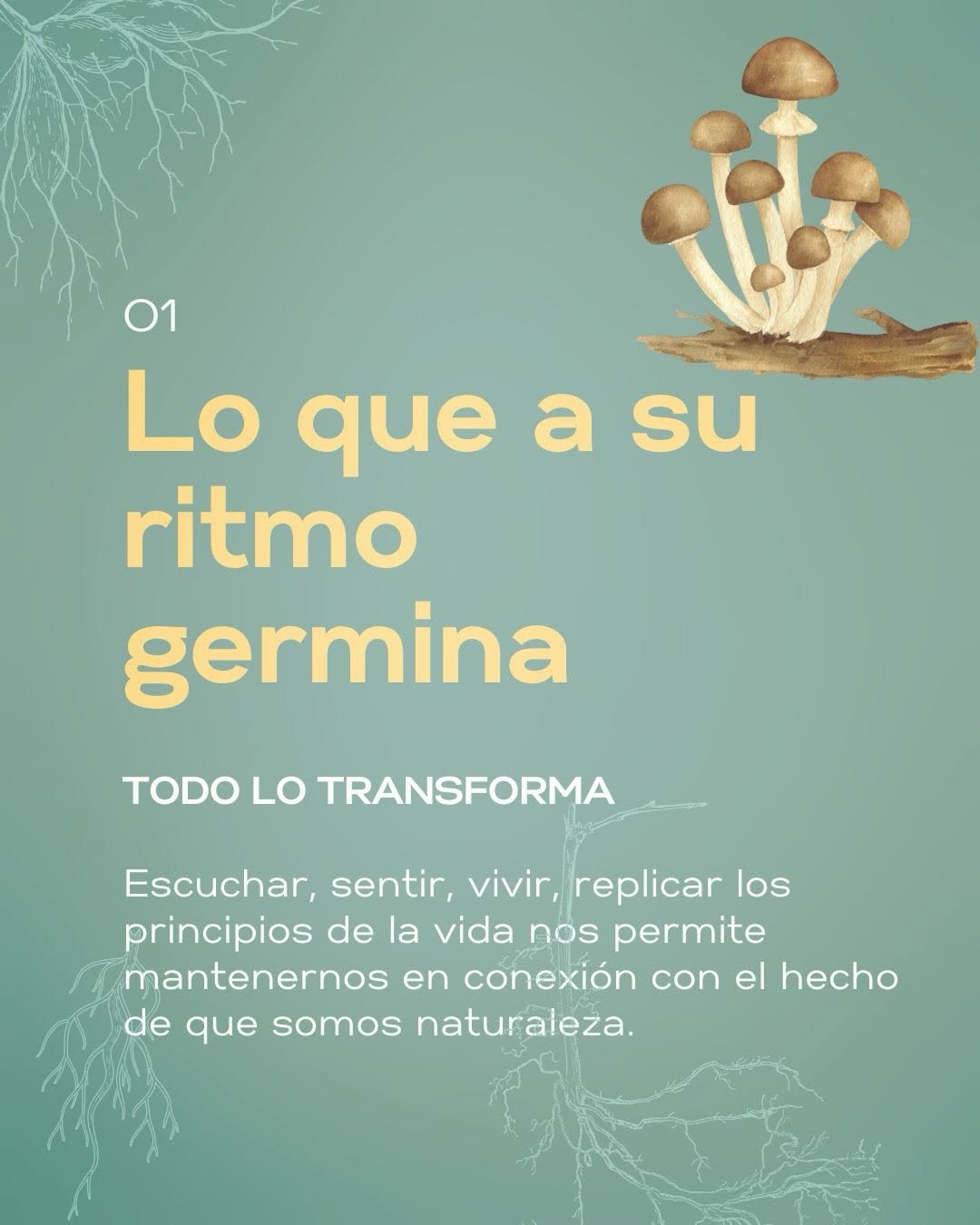Lo que a su ritmo germina — Semilla de Mares
